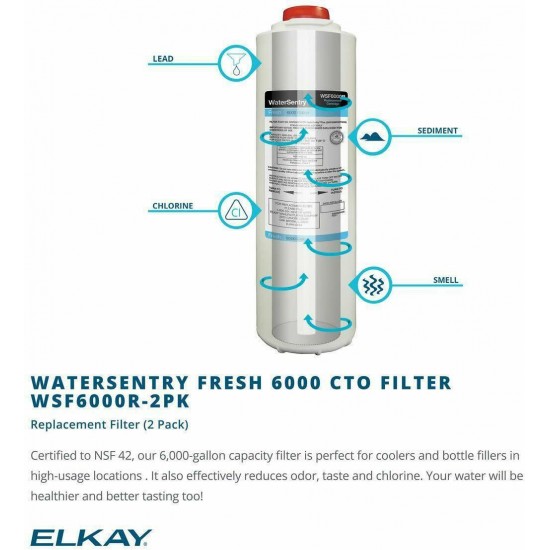 Elkay WSF6000R-2PK Watersentry Replacement Water Filter - 2 Pack