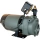 Star Water Systems  Cast Iron  Convertible Jet Pump  3/4 hp