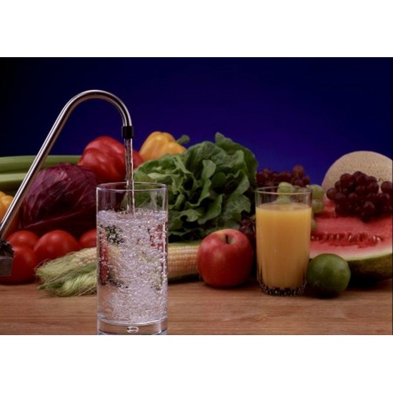 Water Filter Carbon Block Under Sink System Built-in Shut Off CO APDWS1000